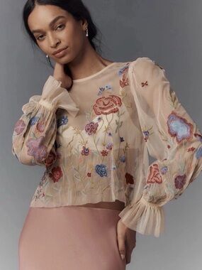 New Anthropologie The Layla Long-Sleeve Appliqué Mesh Blouse Size Small